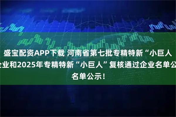 盛宝配资APP下载 河南省第七批专精特新“小巨人”企业和2025年专精特新“小巨人”复核通过企业名单公示!