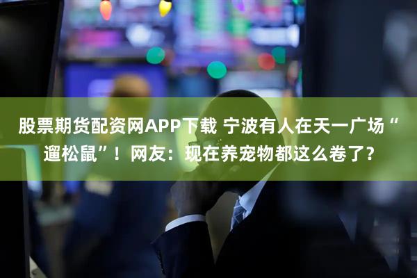 股票期货配资网APP下载 宁波有人在天一广场“遛松鼠”！网友：现在养宠物都这么卷了？