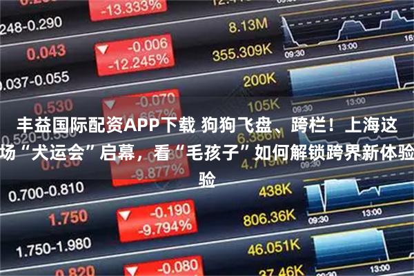 丰益国际配资APP下载 狗狗飞盘、跨栏！上海这场“犬运会”启幕，看“毛孩子”如何解锁跨界新体验