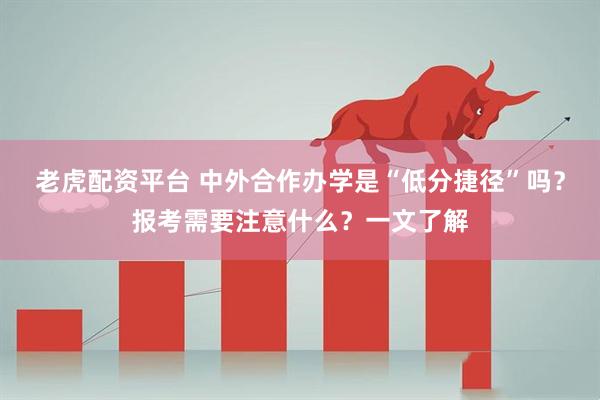 老虎配资平台 中外合作办学是“低分捷径”吗？报考需要注意什么？一文了解