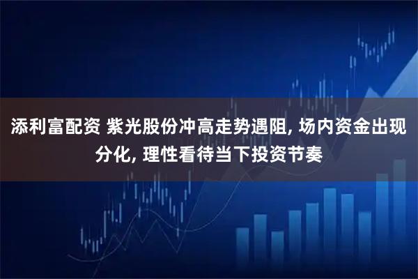 添利富配资 紫光股份冲高走势遇阻, 场内资金出现分化, 理性看待当下投资节奏